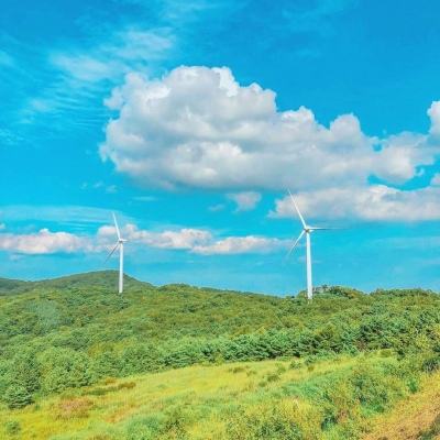 浙江能源创新飞跃：绿色路径绘就高质量发展新画卷
